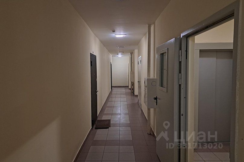 m. Michurinets: Apartment, 1-rooms