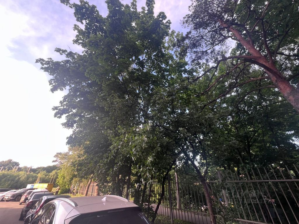 m. Nemchinovka: Apartment, studio