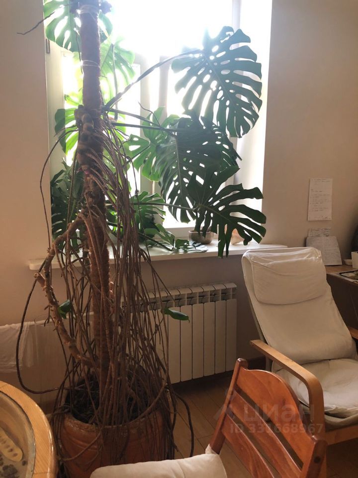 m. Zorge: Apartment, 2-rooms