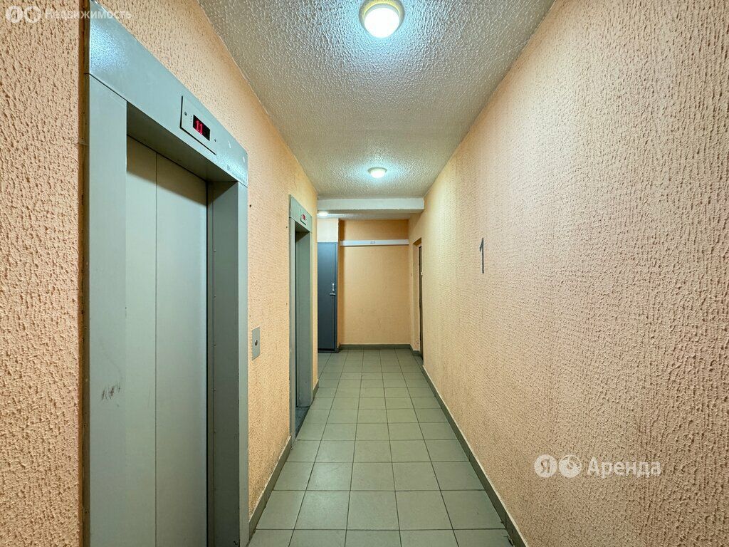 m. Kuchino: Apartment, 1-rooms