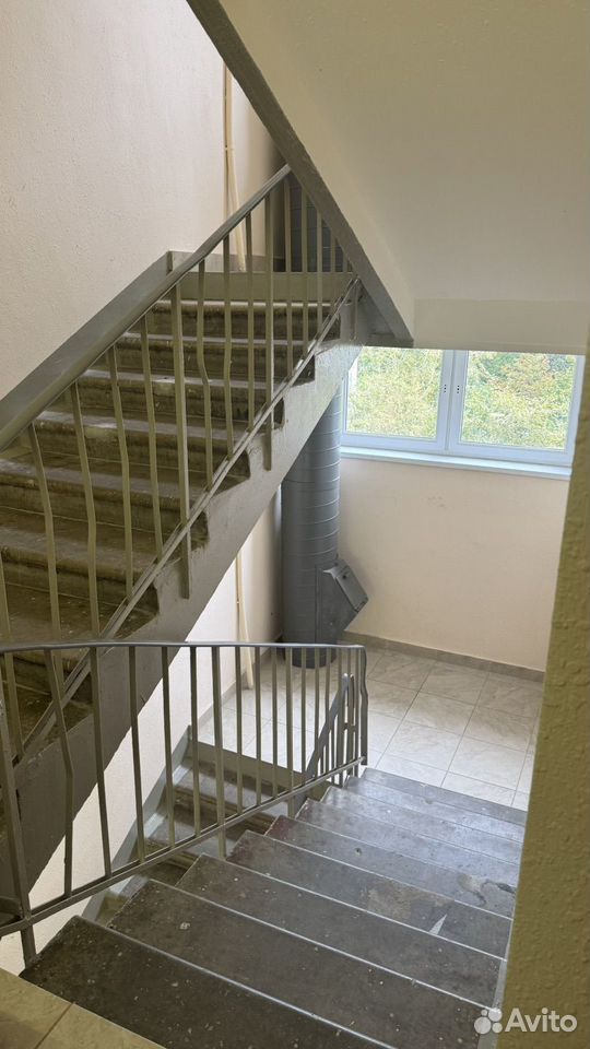 m. Lomonosovsky prospekt: Apartment, 1-rooms