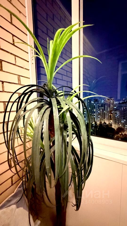 m. Novatorskaya: Apartment, 2-rooms