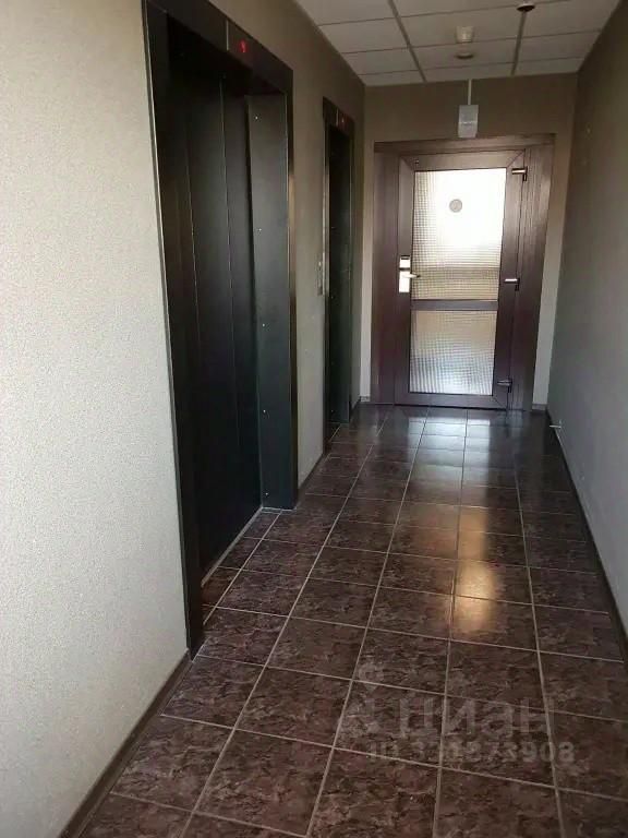 m. Orekhovo: Apartment, 1-rooms