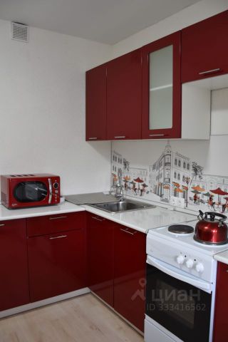 m. Olgino: Apartment, 1-rooms