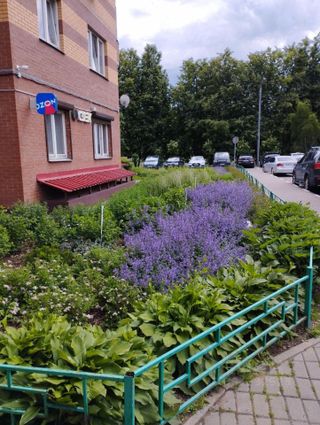 m. Khimki: Apartment, 1-rooms