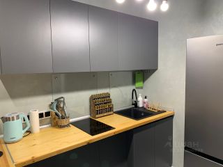 m. Nikolskoe: Apartment, studio