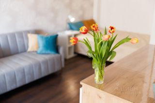 m. Dostoevskaya: Apartment, 1-rooms