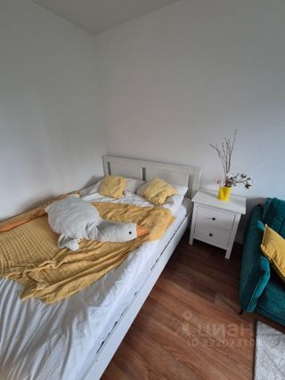 m. Solntsevo: Apartment, 1-rooms