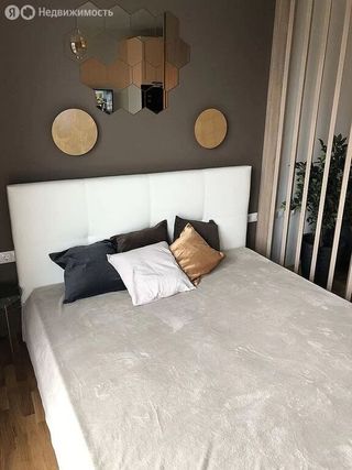 m. TsSKA: Apartment, studio