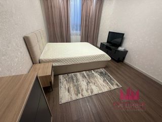 m. Olgino: Apartment, 1-rooms