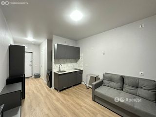 m. Olgino: Apartment, studio