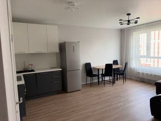 m. Olgino: Apartment, 1-rooms