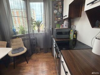 m. Zheleznodorozhnaya: Apartment, 1-rooms