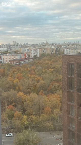 m. Kalitniki: Apartment, studio