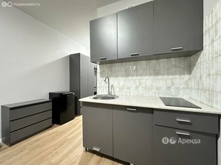 m. Olgino: Apartment, studio