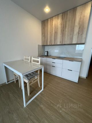 m. Nikolskoe: Apartment, studio