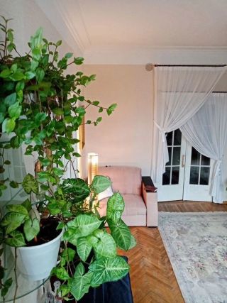 m. Dinamo: Apartment, 2-rooms