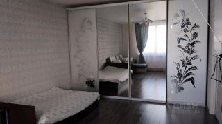 m. Olgino: Apartment, 1-rooms