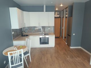 m. TsSKA: Apartment, studio