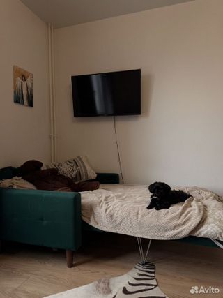 m. Mitino: Apartment, studio