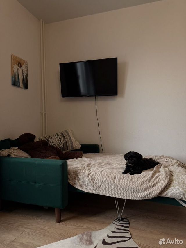 m. Mitino: Apartment, studio