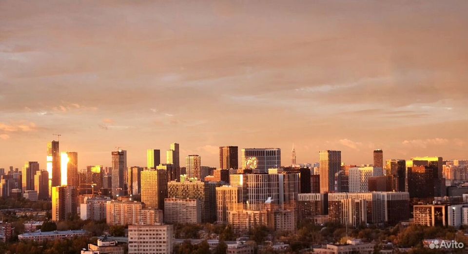 m. Park Pobedy: Apartment, 2-rooms