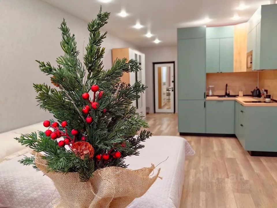 m. Nikolskoe: Apartment, 1-rooms